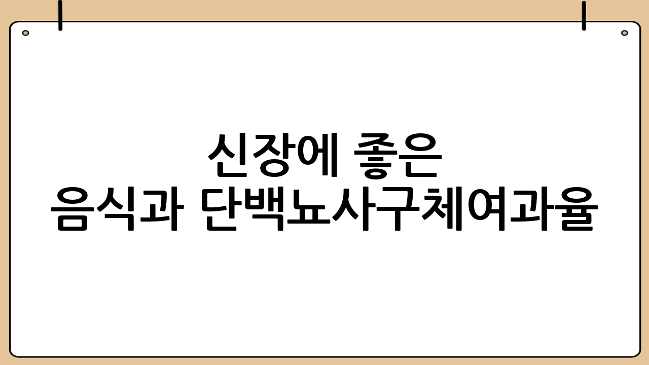 신장에 좋은 음식과 단백뇨·사구체여과율(GFR) 검사의 중요성