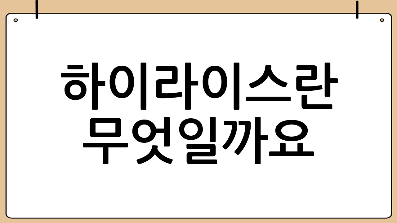 하이라이스란 무엇일까요?