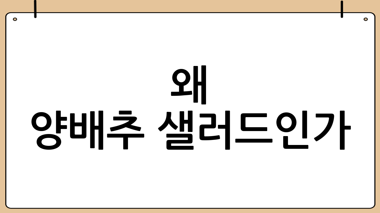 왜 양배추 샐러드인가?