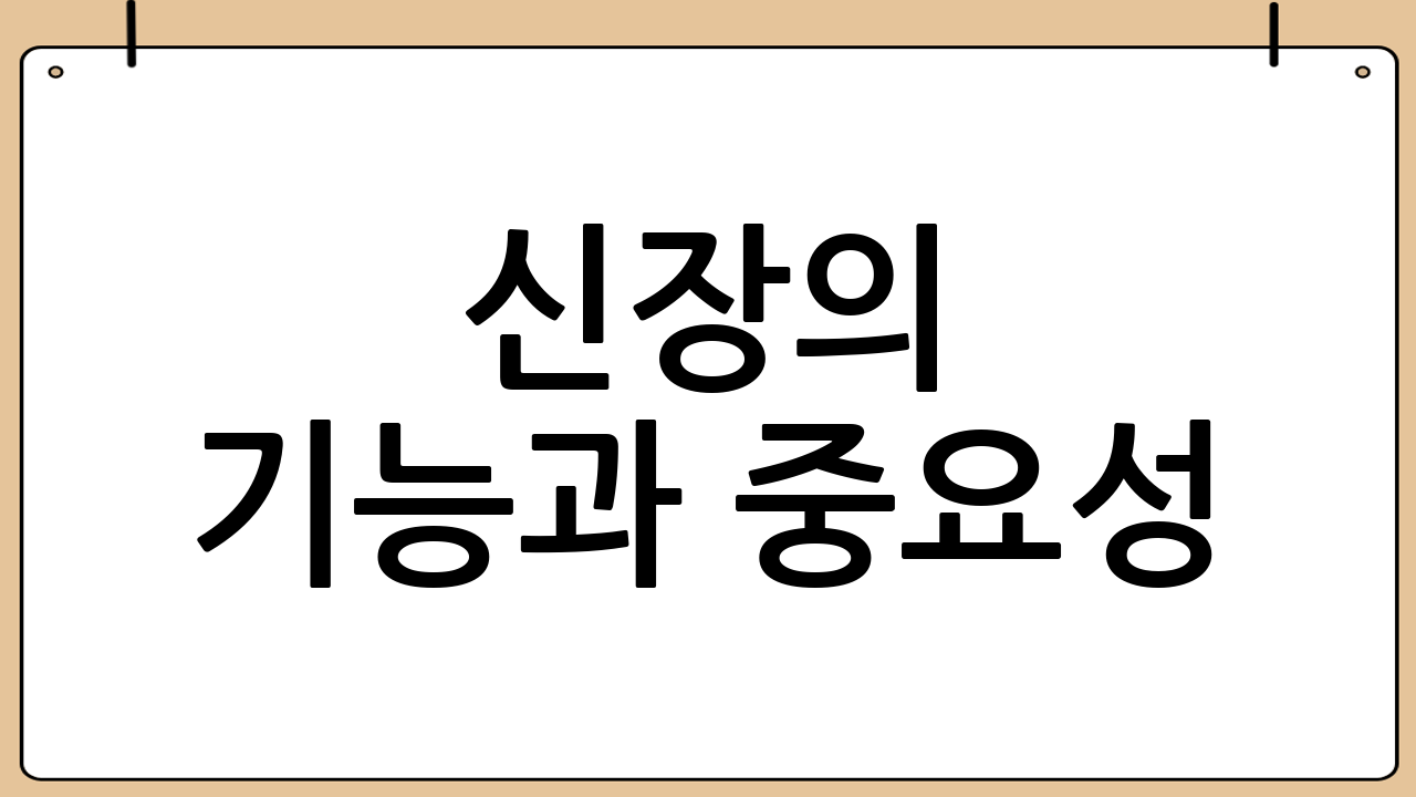 신장의 기능과 중요성