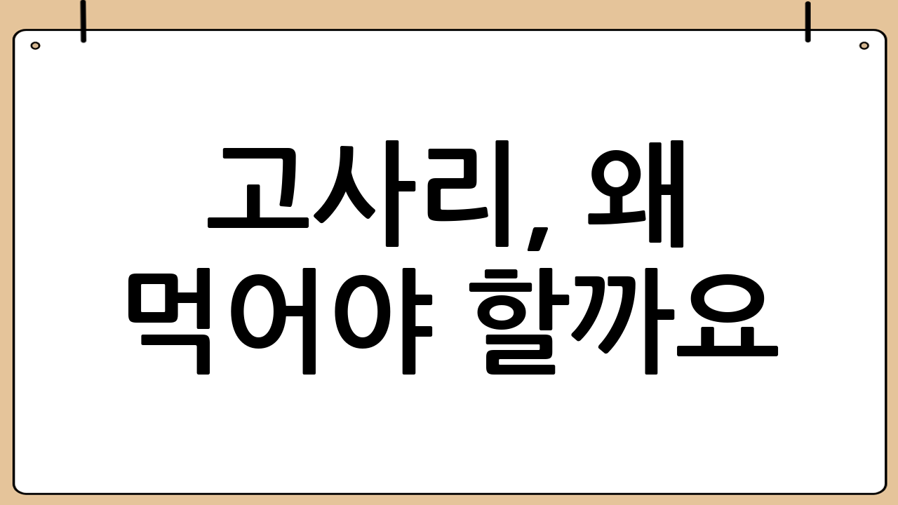 고사리, 왜 먹어야 할까요? 영양 가득한 고사리의 효능