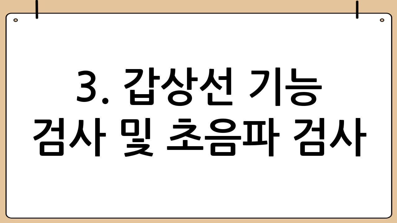 3. 갑상선 기능 검사 및 초음파 검사