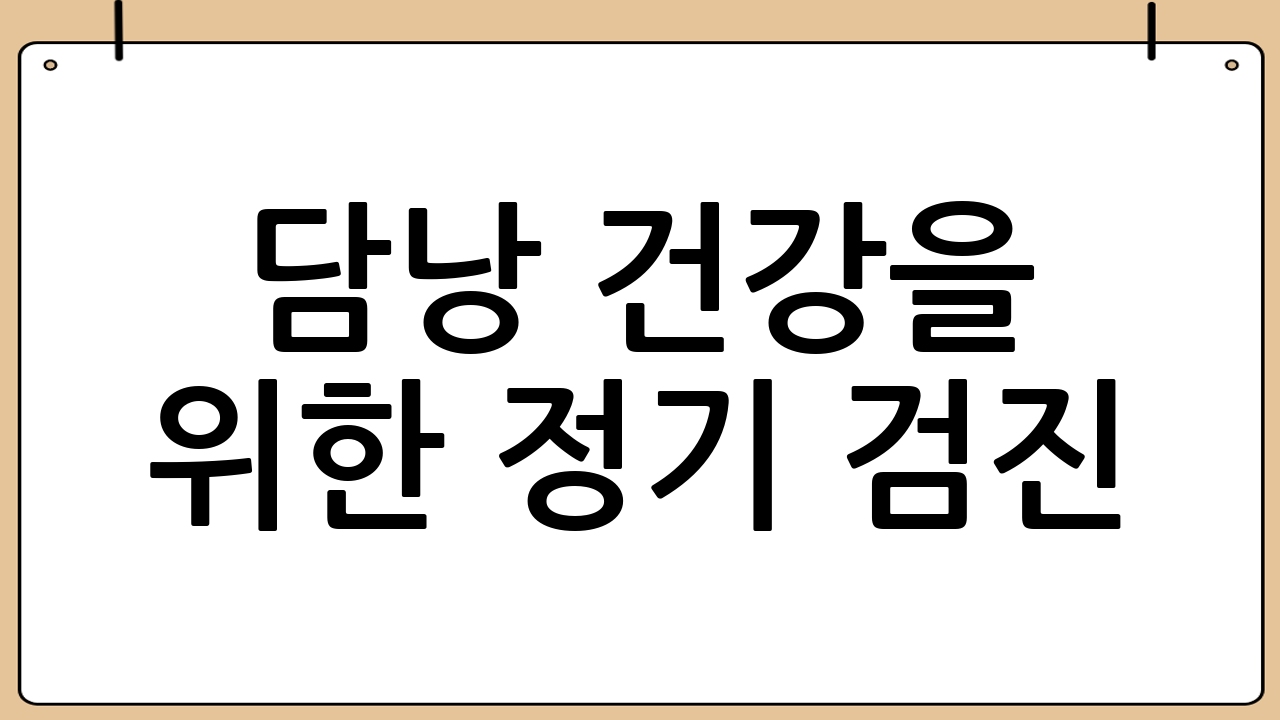 담낭 건강을 위한 정기 검진: 복부 초음파와 담낭 기능 검사