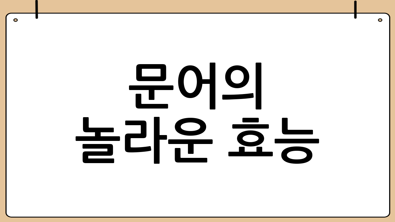 문어의 놀라운 효능