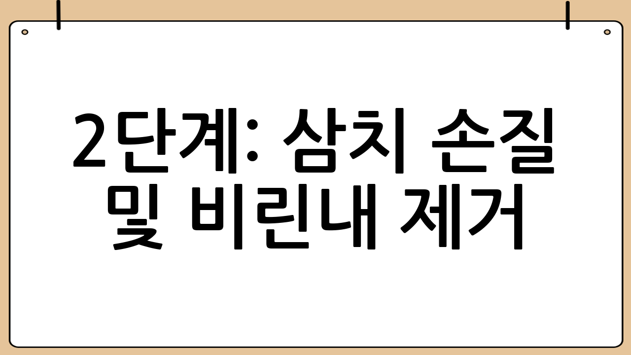 2단계: 삼치 손질 및 비린내 제거