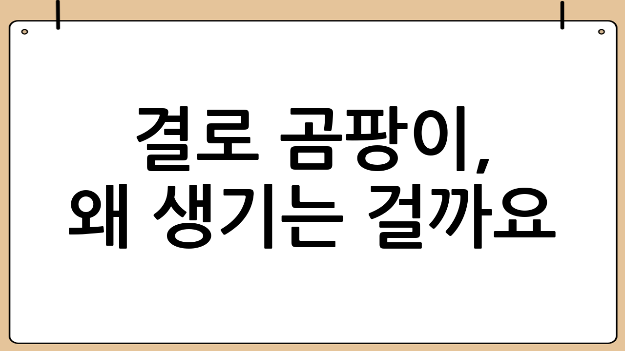결로 곰팡이, 왜 생기는 걸까요? 확실하게 제거하는 방법 알아보기
