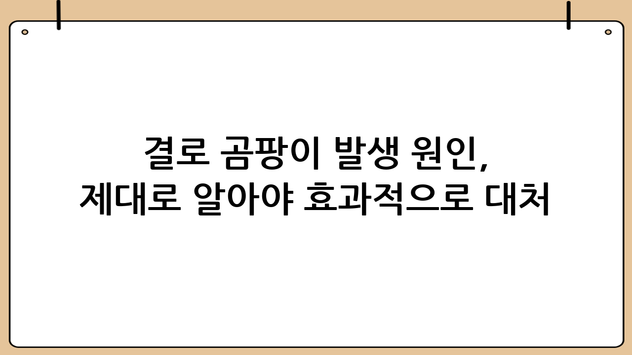 결로 곰팡이 발생 원인, 제대로 알아야 효과적으로 대처 가능