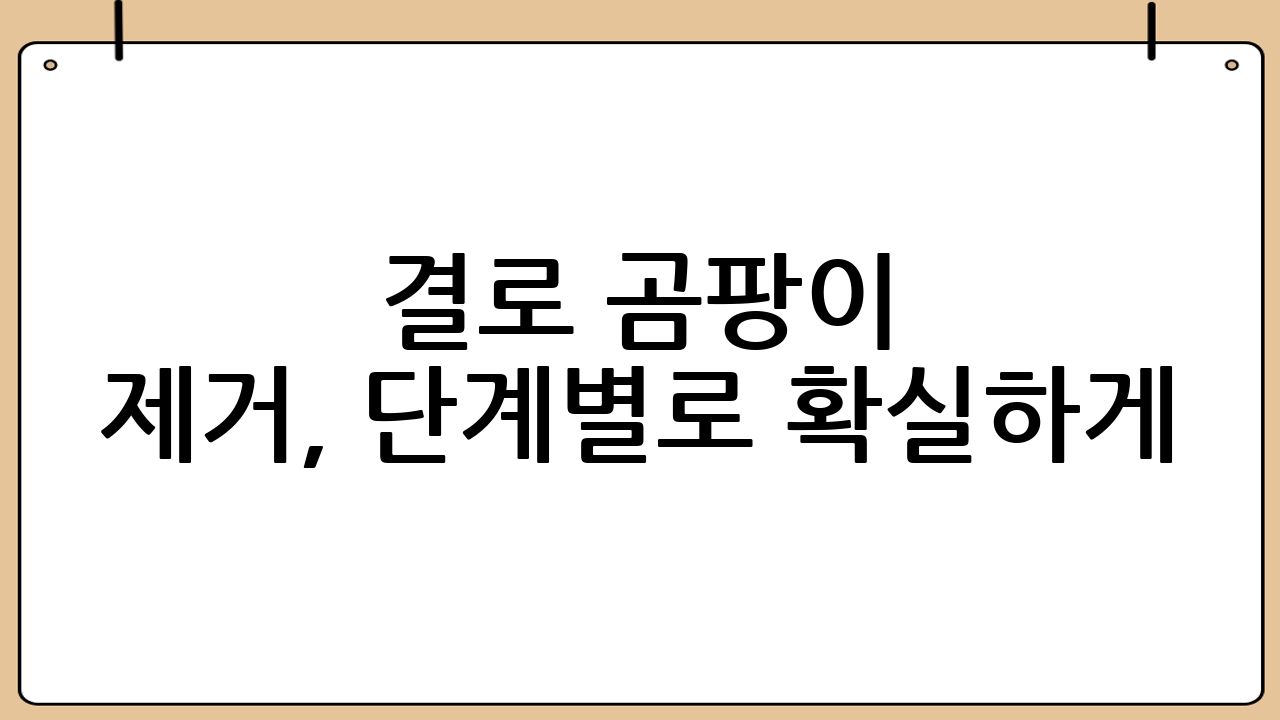 결로 곰팡이 제거, 단계별로 확실하게!