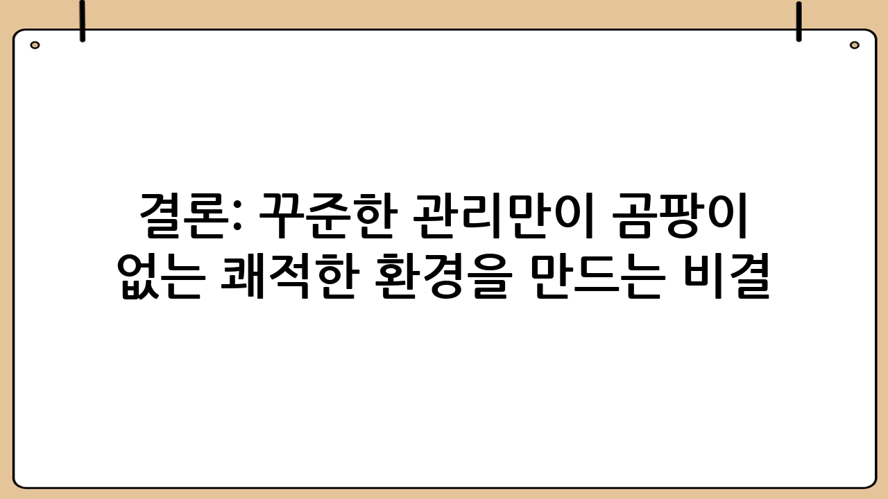 결론: 꾸준한 관리만이 곰팡이 없는 쾌적한 환경을 만드는 비결
